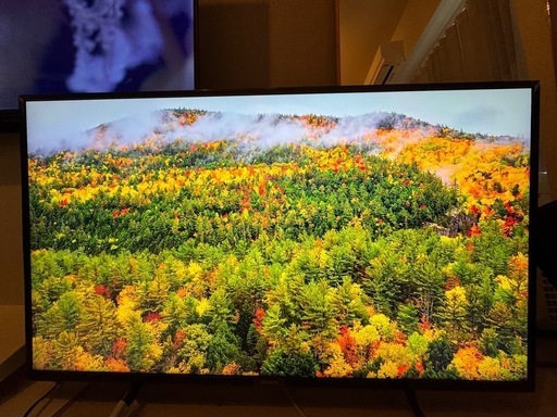 8/9現在募集中　
美品　SONY 4K 43インチ液晶テレビ KJ-43X8000H 2021年製