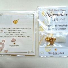 未使用 マルラニハワイ 誕生石 CHARM チャーム アクセサリー 幸運 パワーストーンの画像