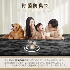 再4【3畳】 絨毯 カーペット ラグマット SOMANT 【アイボリー】 冬用 低反発 厚手 抗菌防臭加工 防音 防ダニの画像