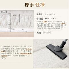 再4【3畳】 絨毯 カーペット ラグマット SOMANT 【アイボリー】 冬用 低反発 厚手 抗菌防臭加工 防音 防ダニの画像