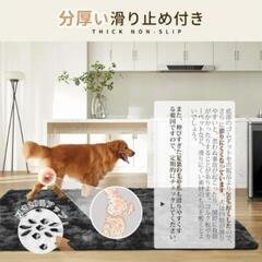 再1 【1畳】 絨毯 カーペット ラグマット SOMANT 【ライトグレー】 冬用 低反発 厚手 抗菌防臭加工 防音 防ダニの画像