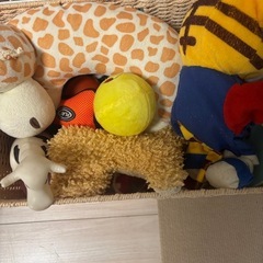 初めてのわんちゃん飼育セットの画像