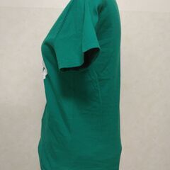 Ｔシャツ　グリーン　レディースの画像