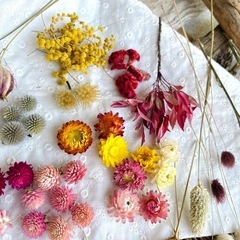 レジンやキャンドル作り小物作り自由研究に　ドライフラワー各種の画像