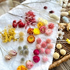 レジンやキャンドル作り小物作り自由研究に　ドライフラワー各種の画像