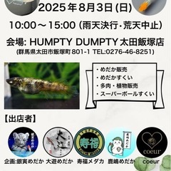 HUMPTY DUMPTY めだか市