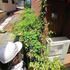 【裏庭】雑草刈りのご依頼作業へ行ってきました。