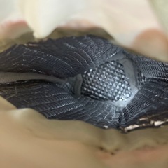 ちいかわペットボトルカバー2wayの画像