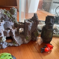 水槽の画像