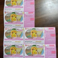 東京サマーランド 1Day 優待券 フリーパス　プール 遊園地の画像