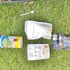 メダカ　めだか　ミックス100匹以上　まとめての画像