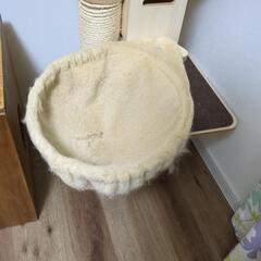 キャットタワー　つっぱり式の画像