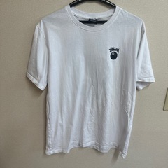 ステューシーのTシャツの画像