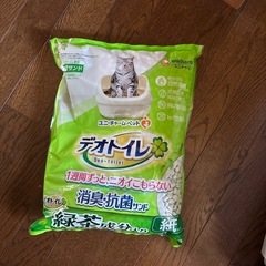 猫　トイレの画像