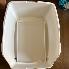 猫　トイレの画像