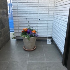 植木鉢の画像