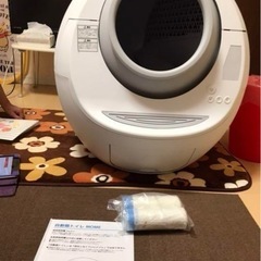 猫トイレの画像