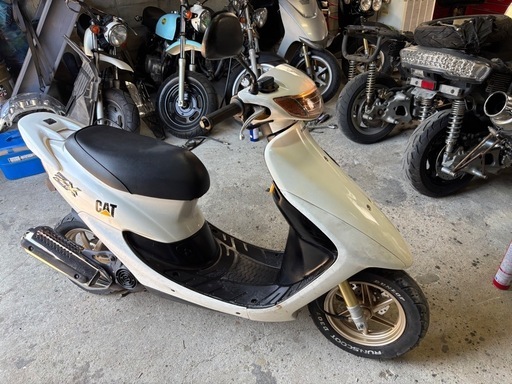 HONDA DIO ZX 】大人気 ゼッペケホワイト2スト50cc 原付 (バイク