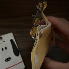 【明日8/1(金)まで限定★】パスケース2つセット スヌーピー ポチャッコの画像