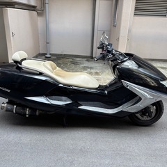 【YAMAHA マグザム】　SG21 後期型　大人カスタム　エアロ　ビシキマの画像