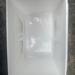 わけぷか　白色３個セット　メダカの画像