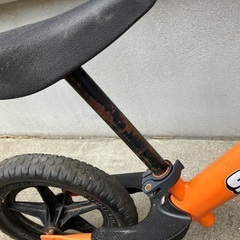 オレンジストライダーの画像