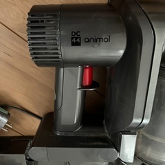 Dyson DC44 animolの画像