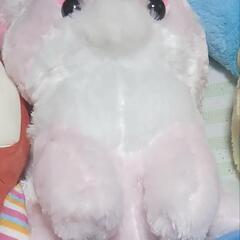 綺麗なぬいぐるみの画像