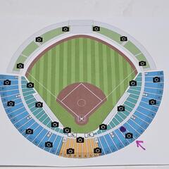 巨人VSヤクルト戦長良川球場９月４日の画像