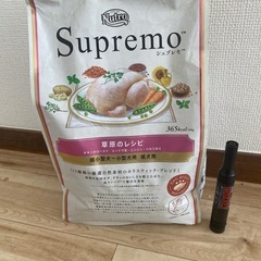 シュプレモ　　の画像