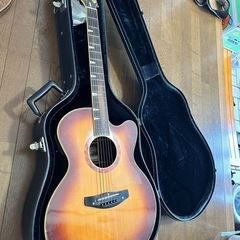 ギター　YAMAHA 決まりましたの画像