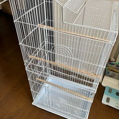 鳥籠の画像