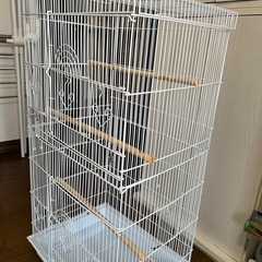 鳥籠の画像