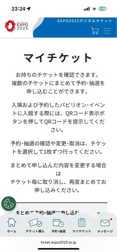 万博チケット　大人2名