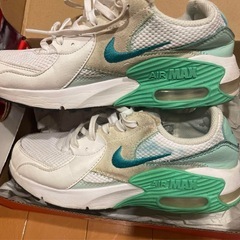 NIKE エアマックス　エクシーの画像