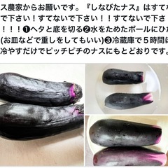 【農薬不使用】丸ナス 2.5キロの画像