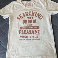 LサイズTシャツ４枚、5本指靴下(オマケ)の画像