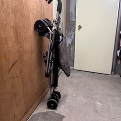 バギーの画像