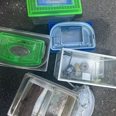 虫かごと水槽、他にもの画像