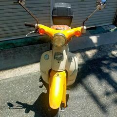 HONDA リトルカブ50 4速セル付き 31850キロの画像