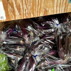 野菜の画像