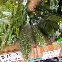 野菜の画像