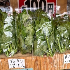 野菜の画像