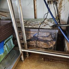 大型活魚水槽オーバーフロー　幅約2900 高さ600 奥行き400　ゼンスイの画像