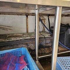 大型活魚水槽オーバーフロー　幅約2900 高さ600 奥行き400　ゼンスイの画像