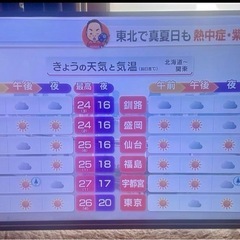 49インチテレビ　GREEN HOUSEの画像