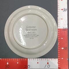 0731-003 Genuine Stoneware 大皿の画像