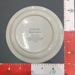 0731-005 Genuine Stoneware 大皿の画像