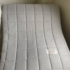 2枚セット ドルミール マットの画像
