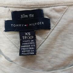 トミーフィルがー　Tシャツの画像